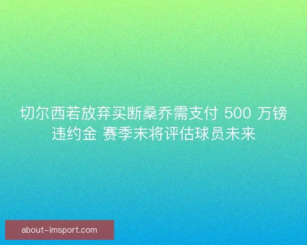切尔西若放弃买断桑乔需支付 500 万镑违约金 赛季末将评估球员未来
